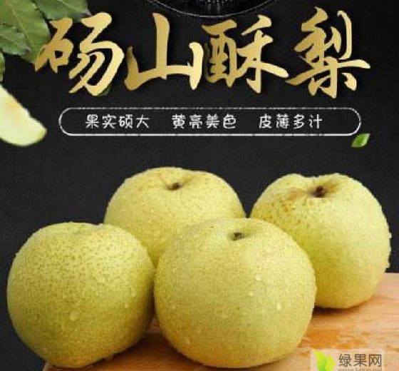 2020年安徽砀山酥梨价格