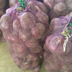 红皮，紫皮洋葱大量出货