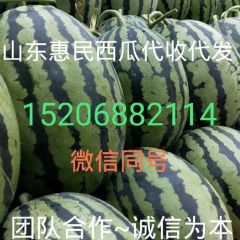 山东滨州惠民大棚甜王