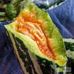 山东博洋9博洋91羊角蜜绿宝多品种甜瓜上市
