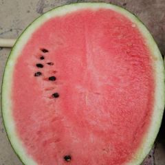 优质西瓜大量上市，产地直供。货源充足，代发全国