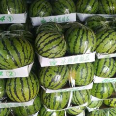 河南商丘精品8424