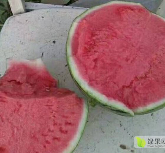 2020年河南夏邑8424西瓜价格