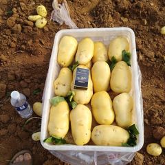 诚信是起源，质量是合作的保障，价格是你追求的目的