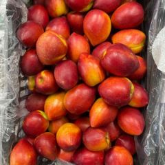 银川四季鲜油桃毛桃代办代销