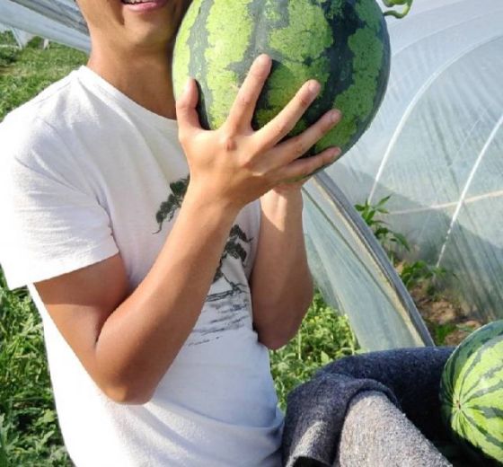 2020年河南商丘8424西瓜价格