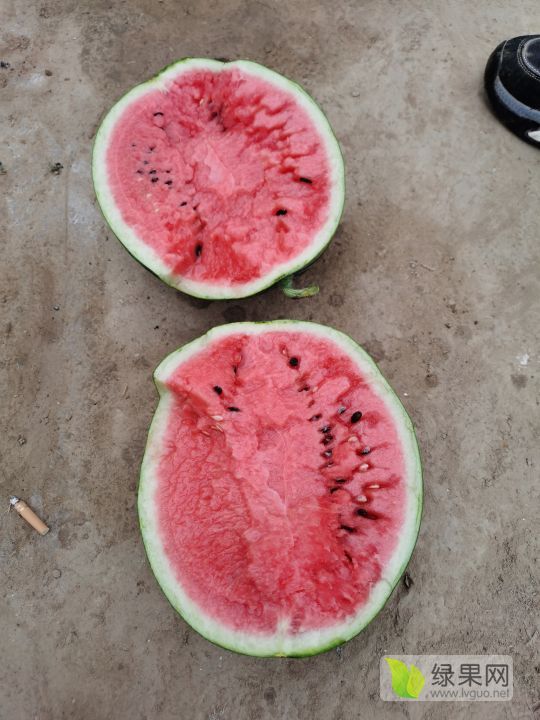 甜王系列价格