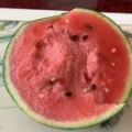 汴梁西瓜