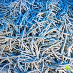 21年辽宁豆角价格行情 产地 中国辽宁豆角网 蔬菜商情网