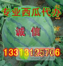沙地西瓜大量上市个大皮薄