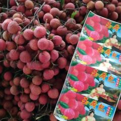 广东省阳江市阳西县荔枝双肩玉荷包