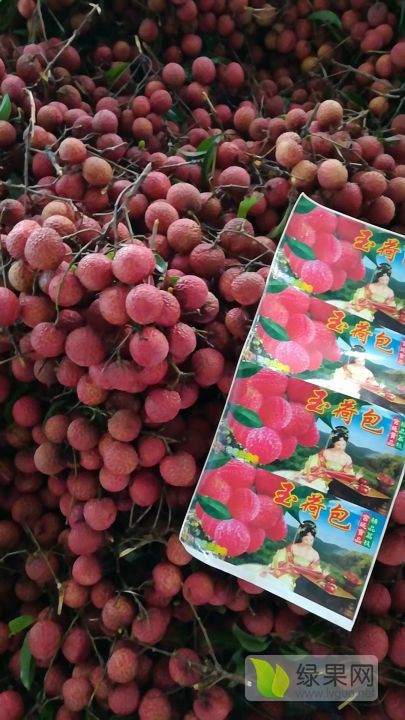 2020年广东阳西荔枝双肩玉荷包价格