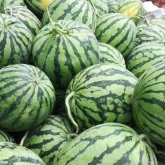 美都货源充足，产地直销，18736111632