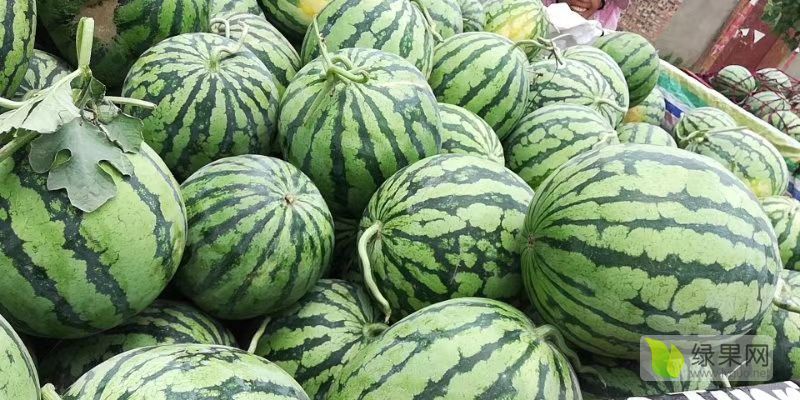 2020年河南太康美都价格