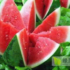 陕西省大荔县西瓜成熟，大量供应批发