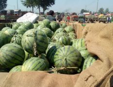 鑫源农副产品代办