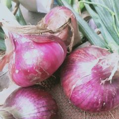 紫皮洋葱大量上市