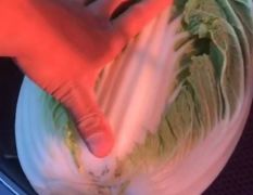 玉田黄心菜大量上市中