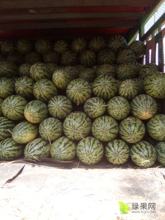 花皮无籽价格