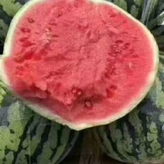 产地直供 8424 美都