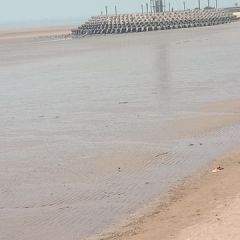 各种应季仙桃苹果红梨