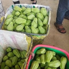 佛手瓜，让你养颜有长寿。