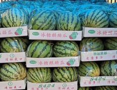 开封诚信专业代收代发，美都，金城五号，秦红208，龙卷风