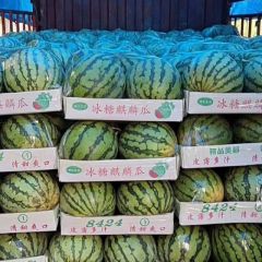 开封诚信专业代收代发，美都，金城五号，秦红208，龙卷风