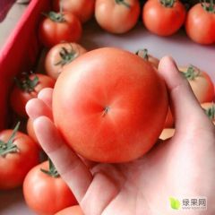 每天能走10万斤 有实力的老板最好