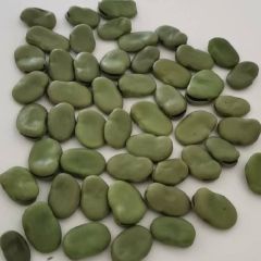 干蚕豆价格 2.5一斤 有需要的可以联系 量大的可以优惠