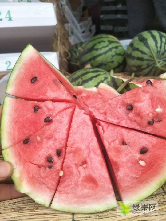 美都价格