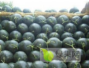 扶沟县有籽西瓜、黑皮无籽西瓜、龙卷风、京欣批发