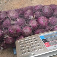 郯城紫皮黄皮二红洋葱