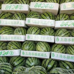 河南商丘柘城岗王乡果园村乐乐千亩优质8424西瓜