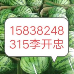 河南开封通许瓜果蔬菜农副产品代收基地