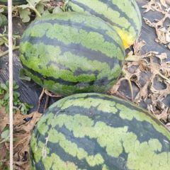 欢迎各位老板打电话给我