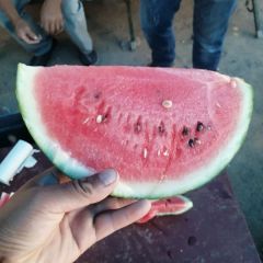 欢迎新老顾客询问