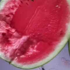 大棚西瓜大量上市中