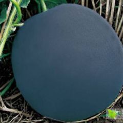 河南西瓜！黑无籽，花无籽西瓜！诚信代收代发！