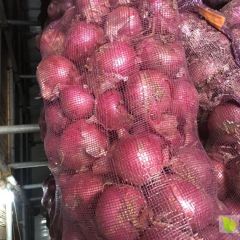 孟州冷库精品二红洋葱