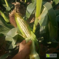 一次合作，终生朋友！