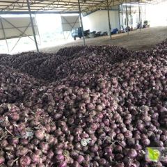 训成农副产品代办