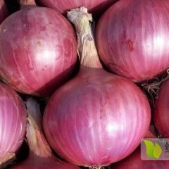 需要的可以联系我、大量有货地里先采购直接可以装车