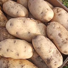 以优越的质量优越的服务诚信为本代收