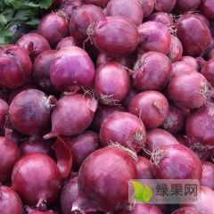 山东潍坊大量供应洋葱