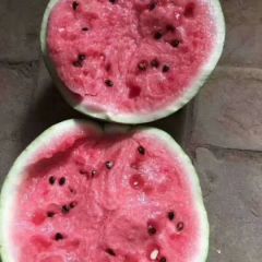 太康县芝麻洼乡西瓜大量上市