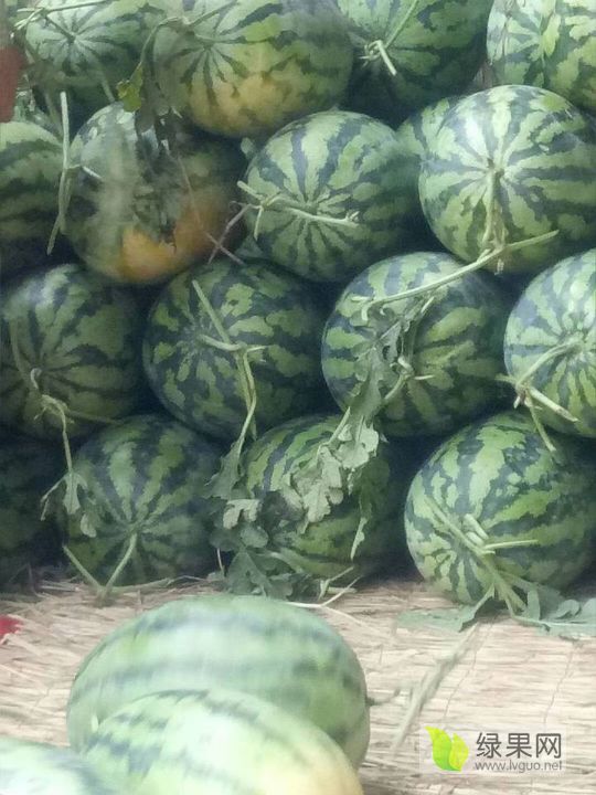 冠龙价格