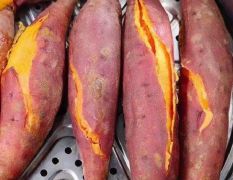 六鳌的红薯已经打出全国的市场