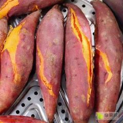 六鳌的红薯已经打出全国的市场