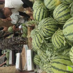 万亩美都，冠龙，金城五，大量供应中